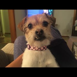 Meet your Posher, Chrissy